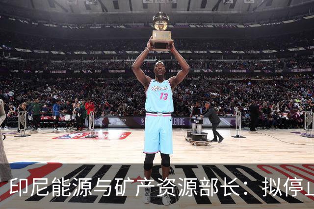 印尼能源与矿产资源部长：拟停止向不尊重印尼的国家供能